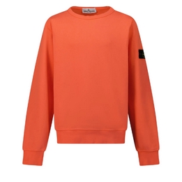 Overview image: Stone Island Sweater crew neck