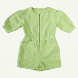Overview image: Maed for Mini Lime lizard