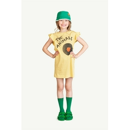 Overview image: The Animal Observatory Hat