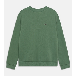 Overview image: Lacoste sweater