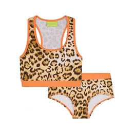 Overview image: Claesens Leopard