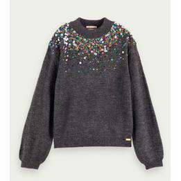 Overview image: Scotch R'belle Sequin pull
