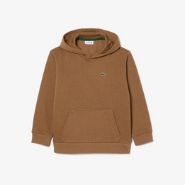 Overview image: Lacoste Hoodie